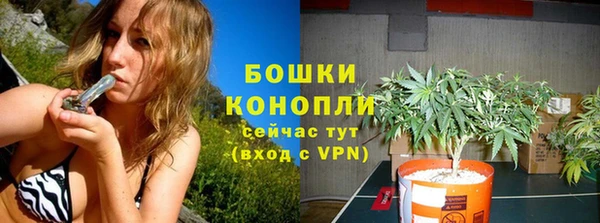 PSILOCYBIN Арсеньев