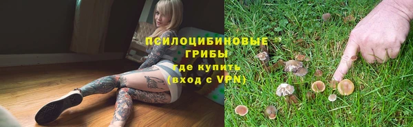 стафф Аркадак