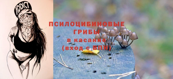 ECSTASY Армянск
