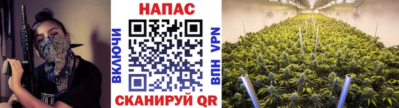 Канабис индика  закладка  Оха 
